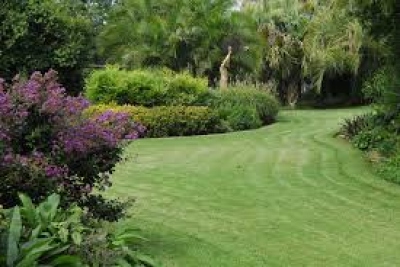 Lawns & Garden Maintenance (GLS116)
