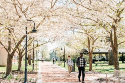 Leasehold available for NDIS, or SRS or Hostel operator (NJACS97)